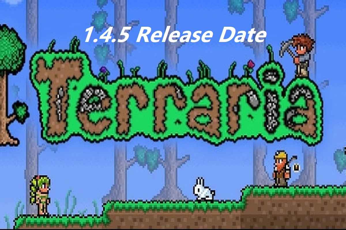 Terraria Crossplay Announced & What's Next for Re-Logic! (Terraria