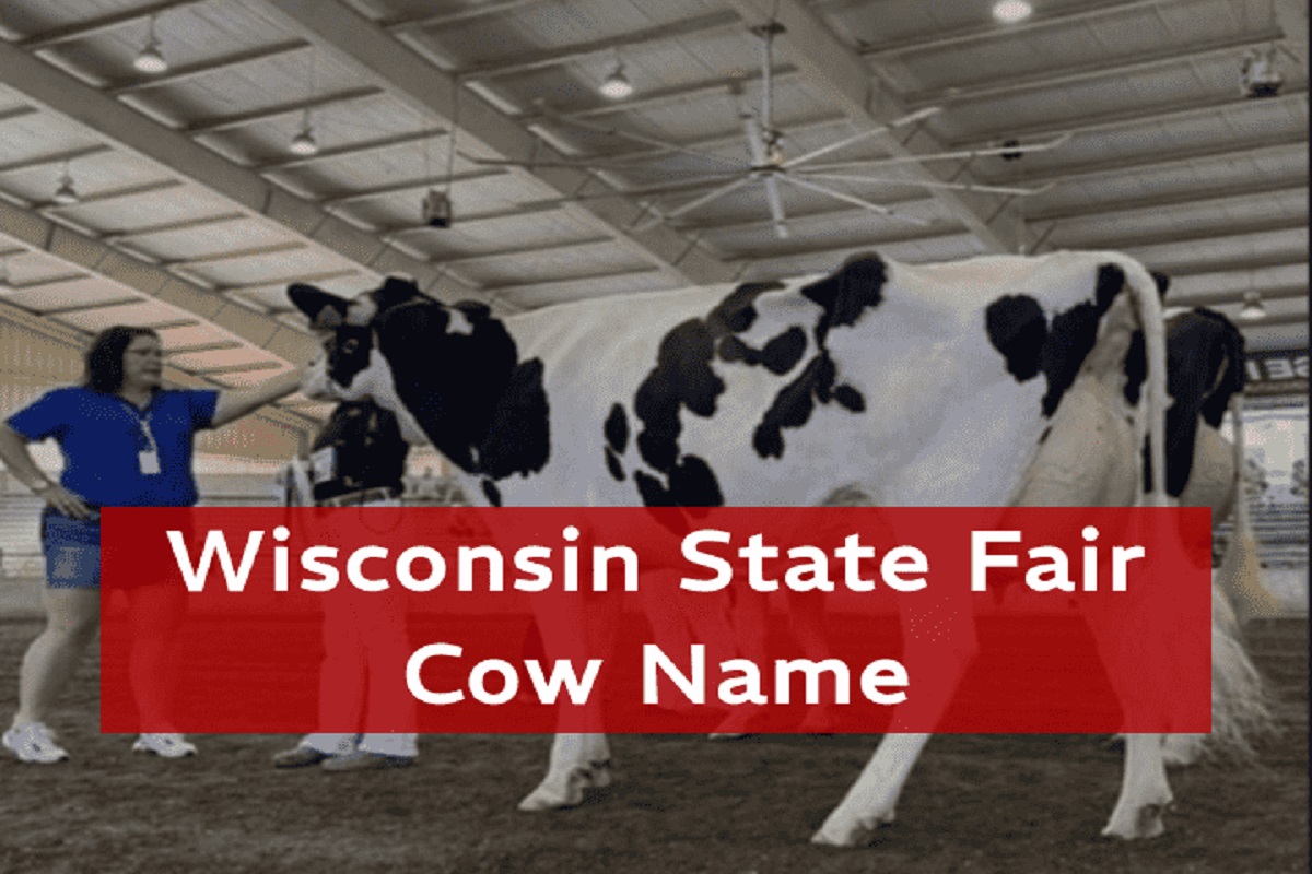 Wisconsin State Fair Cow Name, after racial slur sparks State Fair