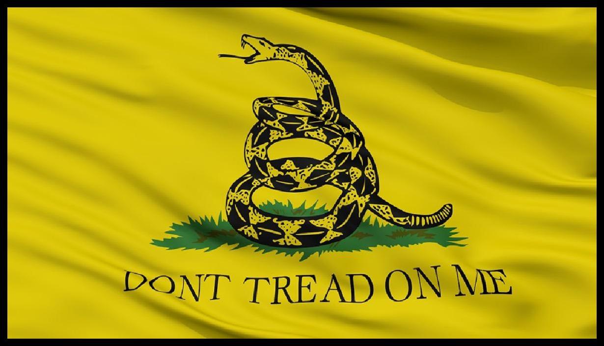 Don't Tread On Me Meaning  History Of The Gadsden Flag