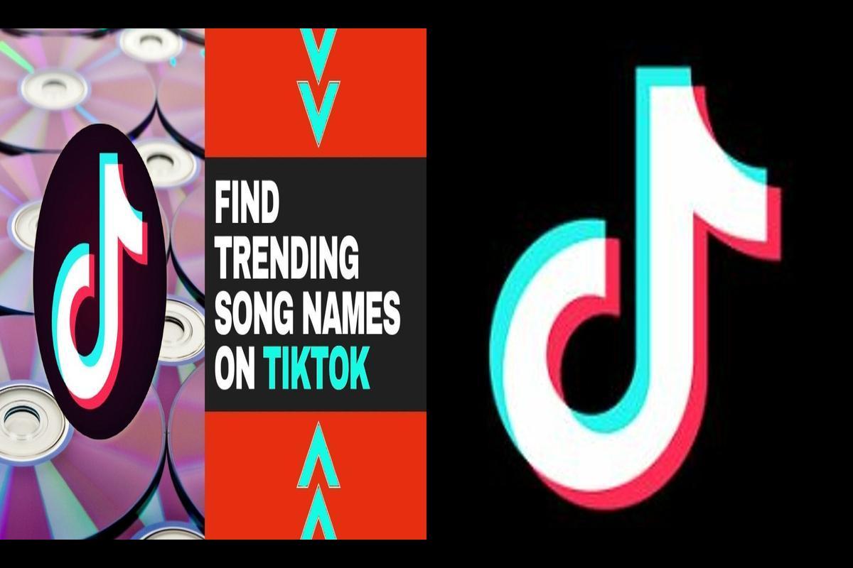 What is TikTok: Complete Platform Guide for 2023