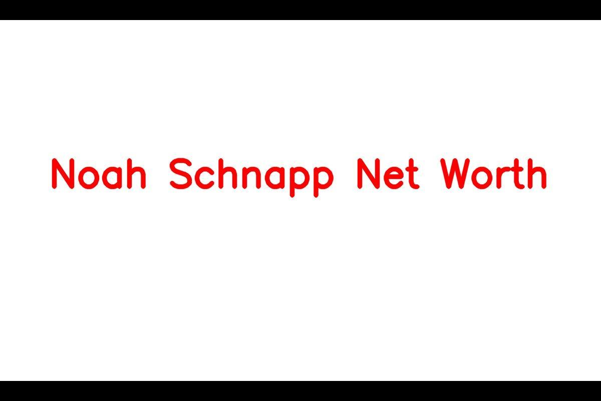 What is Noah Schnapp's Net Worth?