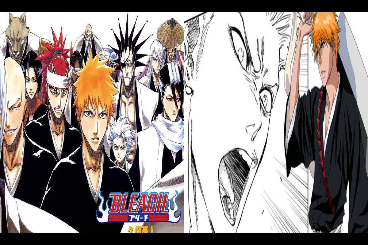 Bleach Creator Explains How the Anime's Cancellation Changed the Manga