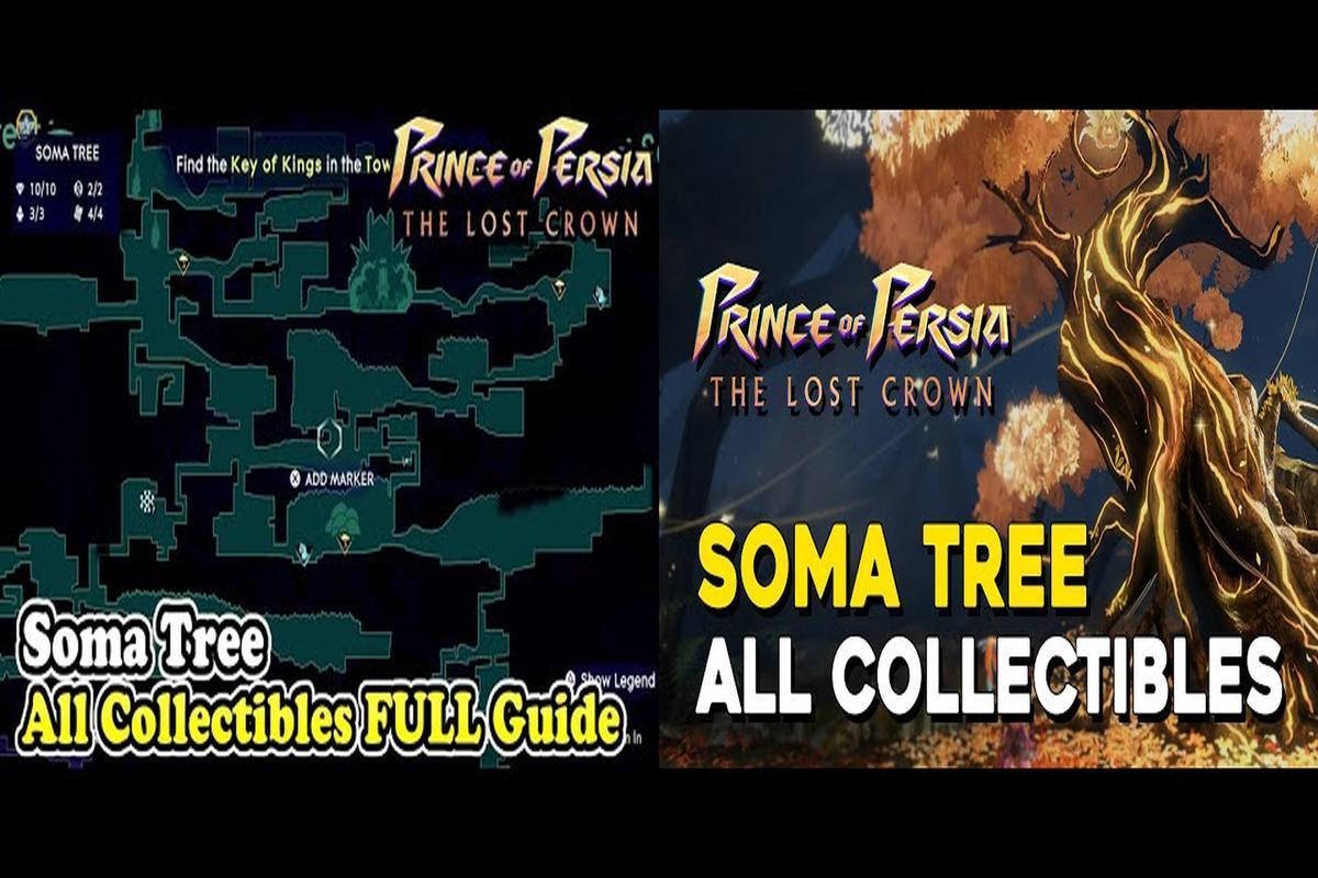 Prince of Persia: The Lost Crown - Where to Find All Soma Tree Petals &  Flowers
