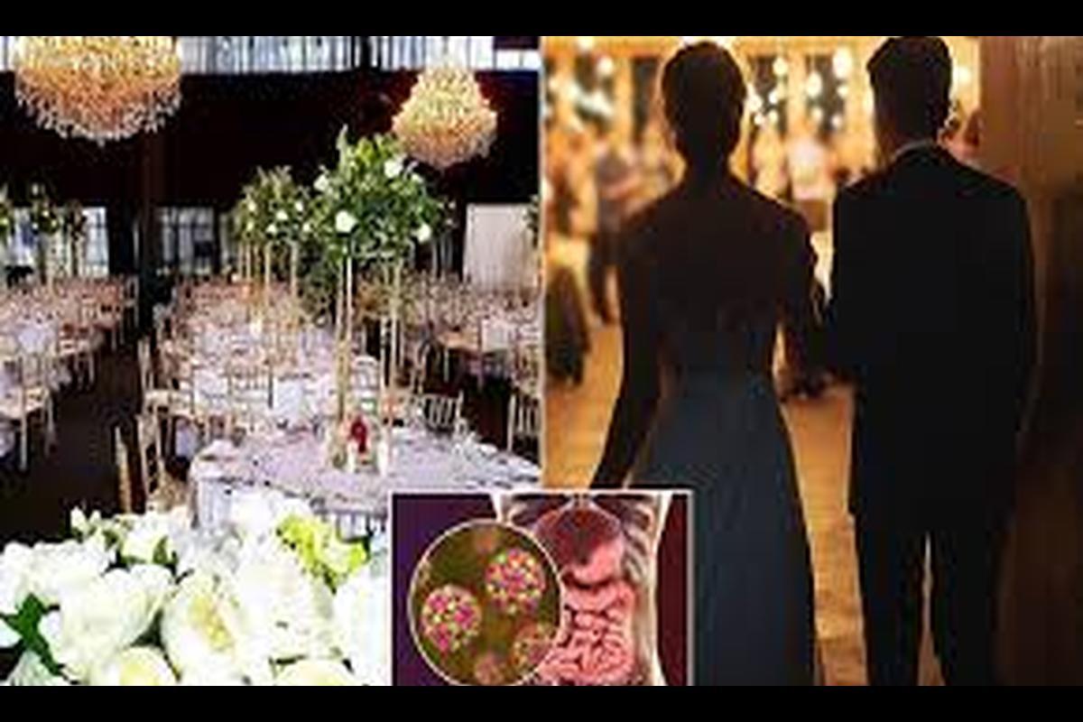 Melbourne Gastro Outbreak at Wedding Venue Continues to Impact: Everything You Need to Understand