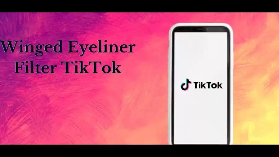 Winged Eyeliner Filter on TikTok