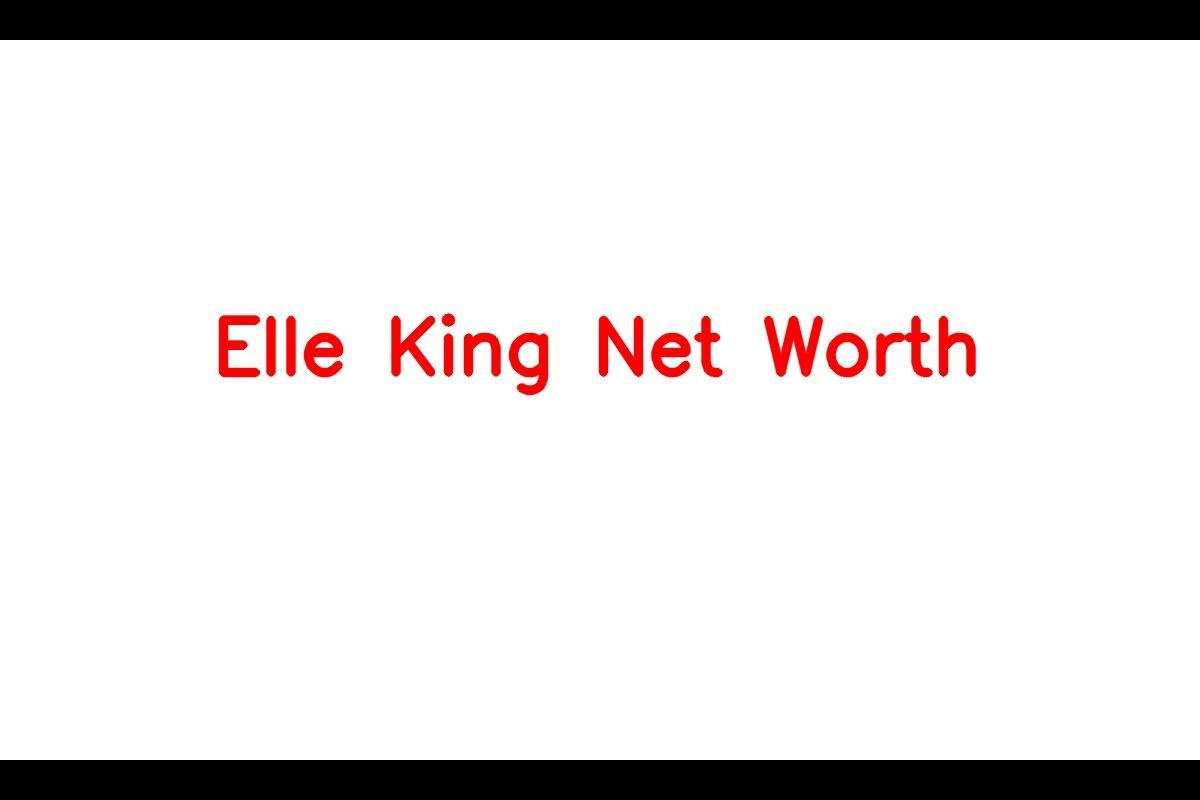 Elle King Net Worth