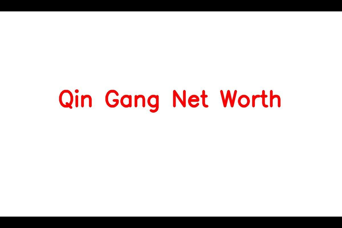 Qin Gang: The Rising Political Figure in China with a Net Worth of $7 Million