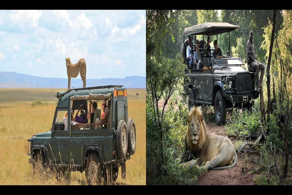 Five Extraordinary Safari Destinations in South Africa That Will Ignite Your Sense of Wonder