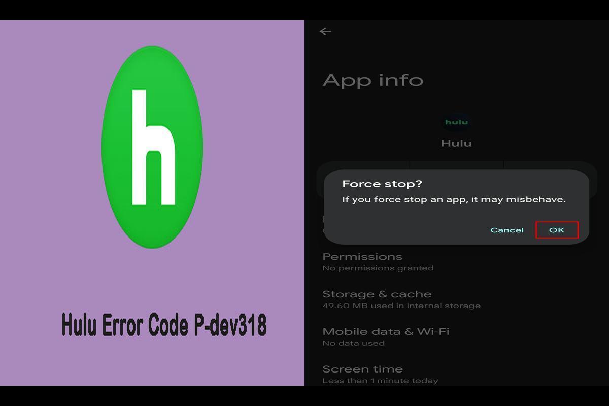 Hulu Error Code P-DEV318