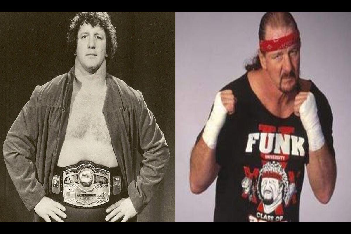 Terry Funk's Legacy in Professional Wrestling