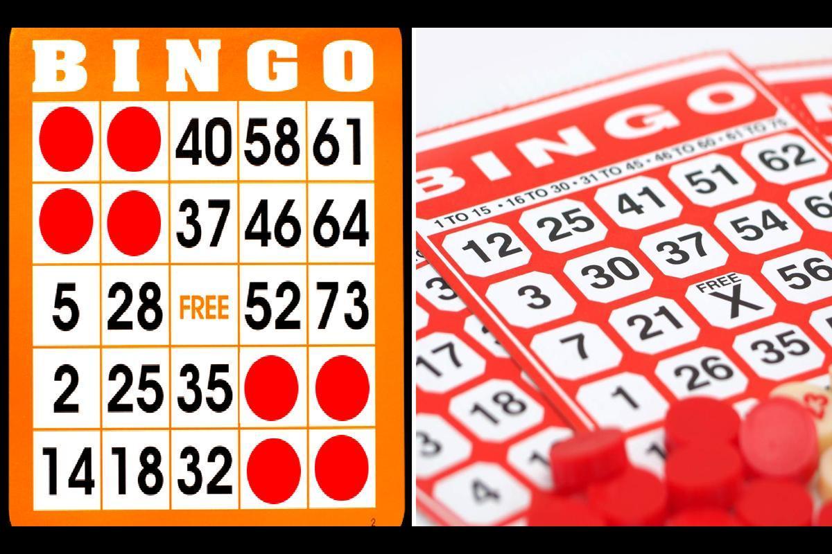 How to Play Bingo - A Beginner's Guide