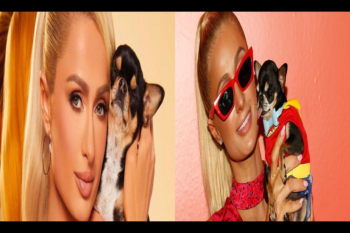 Tragic End to Paris Hilton's Search for Her Chihuahua
