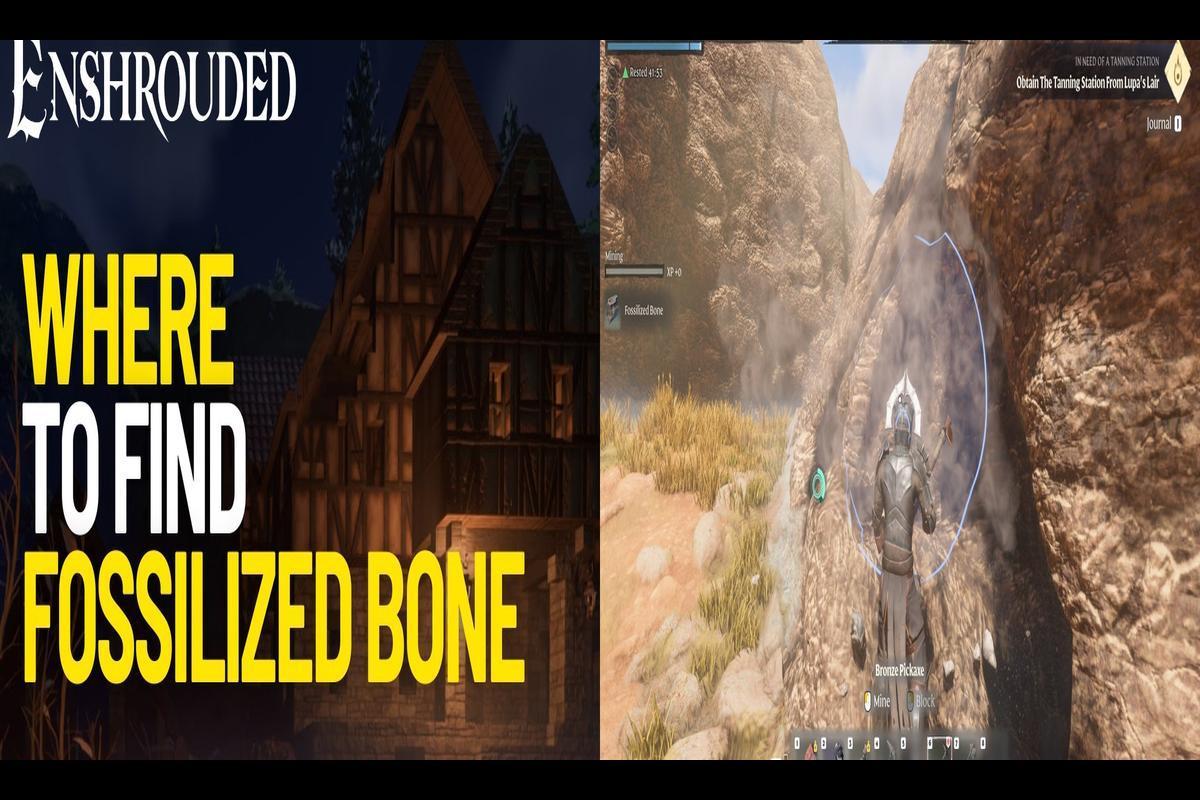 Where to Find Fossilized Bone in Enshrouded