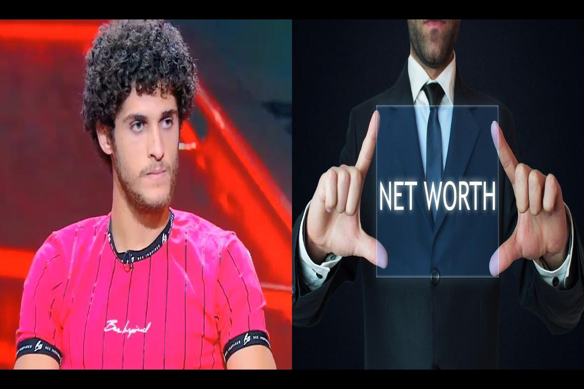 Ahmed El Sheikh's Net Worth in 2024
