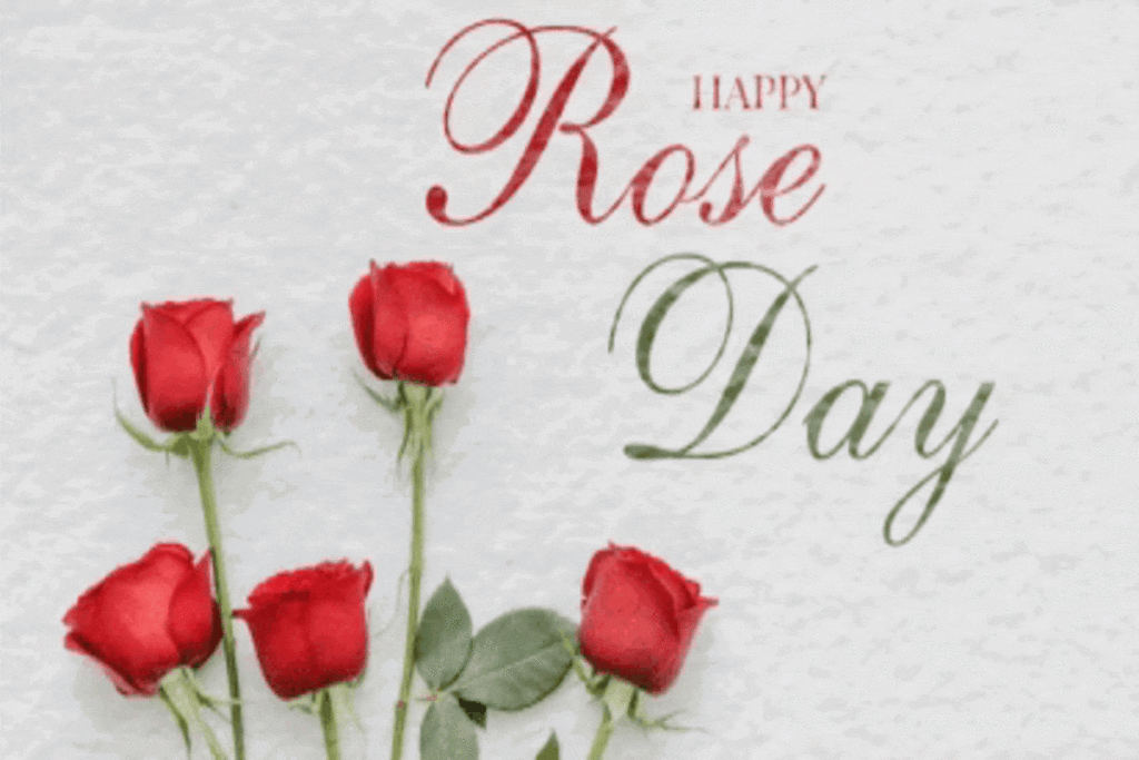 Happy Rose Day 2024 Wishes, Quotes, Images, Messages and more