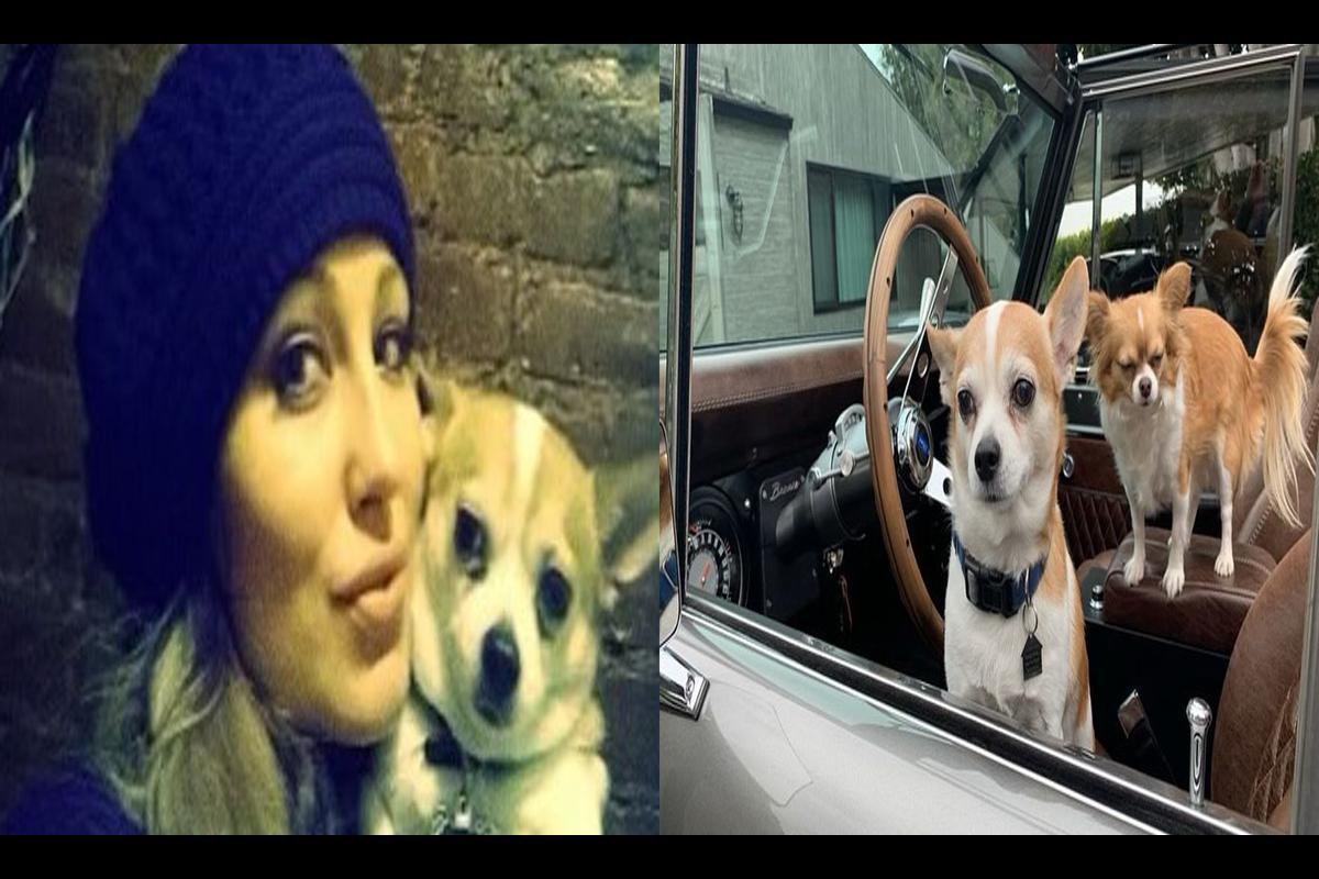 Heartbreaking News: Mary Fitzgerald Mourns the Loss of Her Beloved Dog Niko