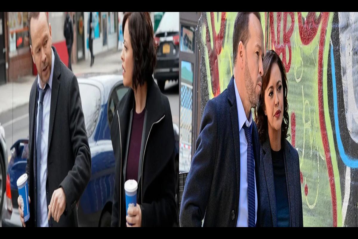 Blue Bloods Season 12: The Relationship Between Danny and Baez